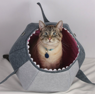 shark cat bed