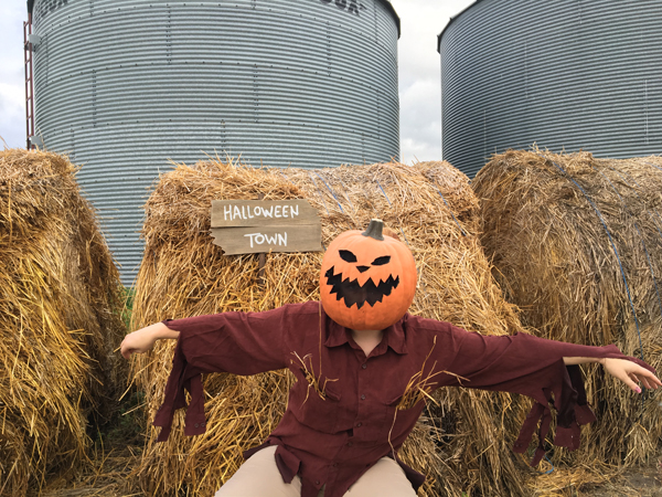 https://madlikealyce.com/wp-content/uploads/2016/10/Halloween-Town-Scarecrow-Costume-DIY-1.jpg