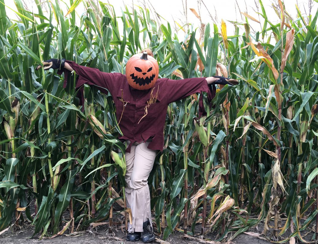 halloween-town-scarecrow-costume-diy