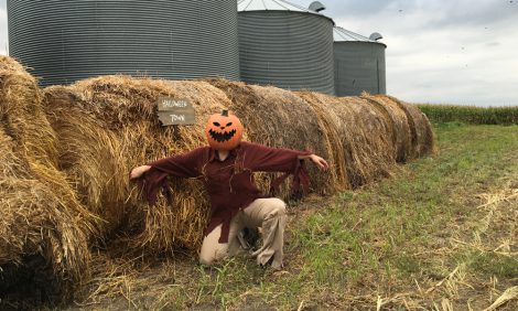 halloween-town-scarecrow-costume-diy-feature