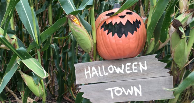 halloween-town-scarecrow-mask-feature