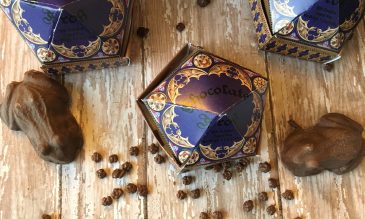 Harry Potter chocolate frog feature